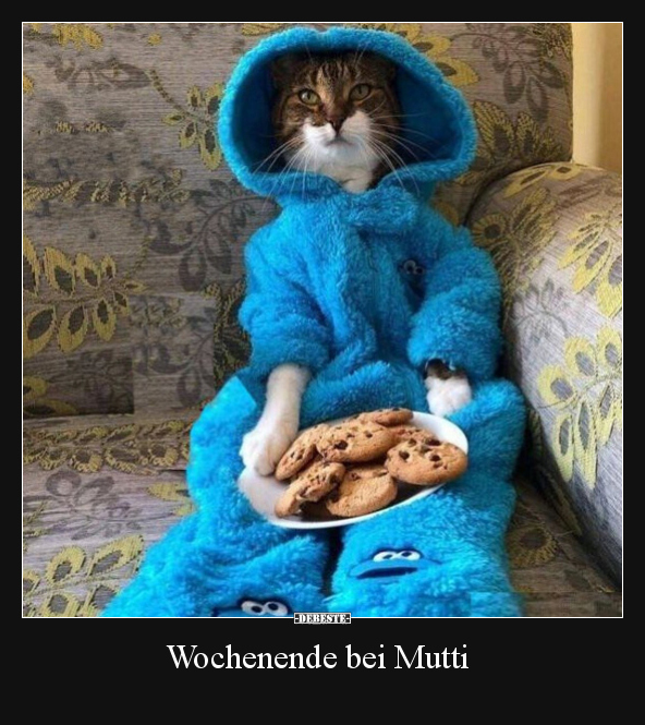 Katzen, Mutter