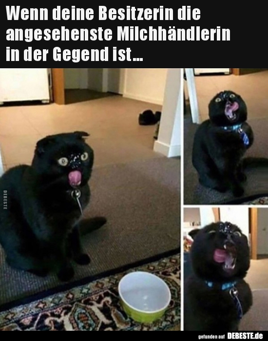 Wenn deine Besitzerin die  angesehenste Milchhändlerin in..