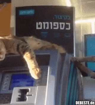 Kein Geld für Dich!