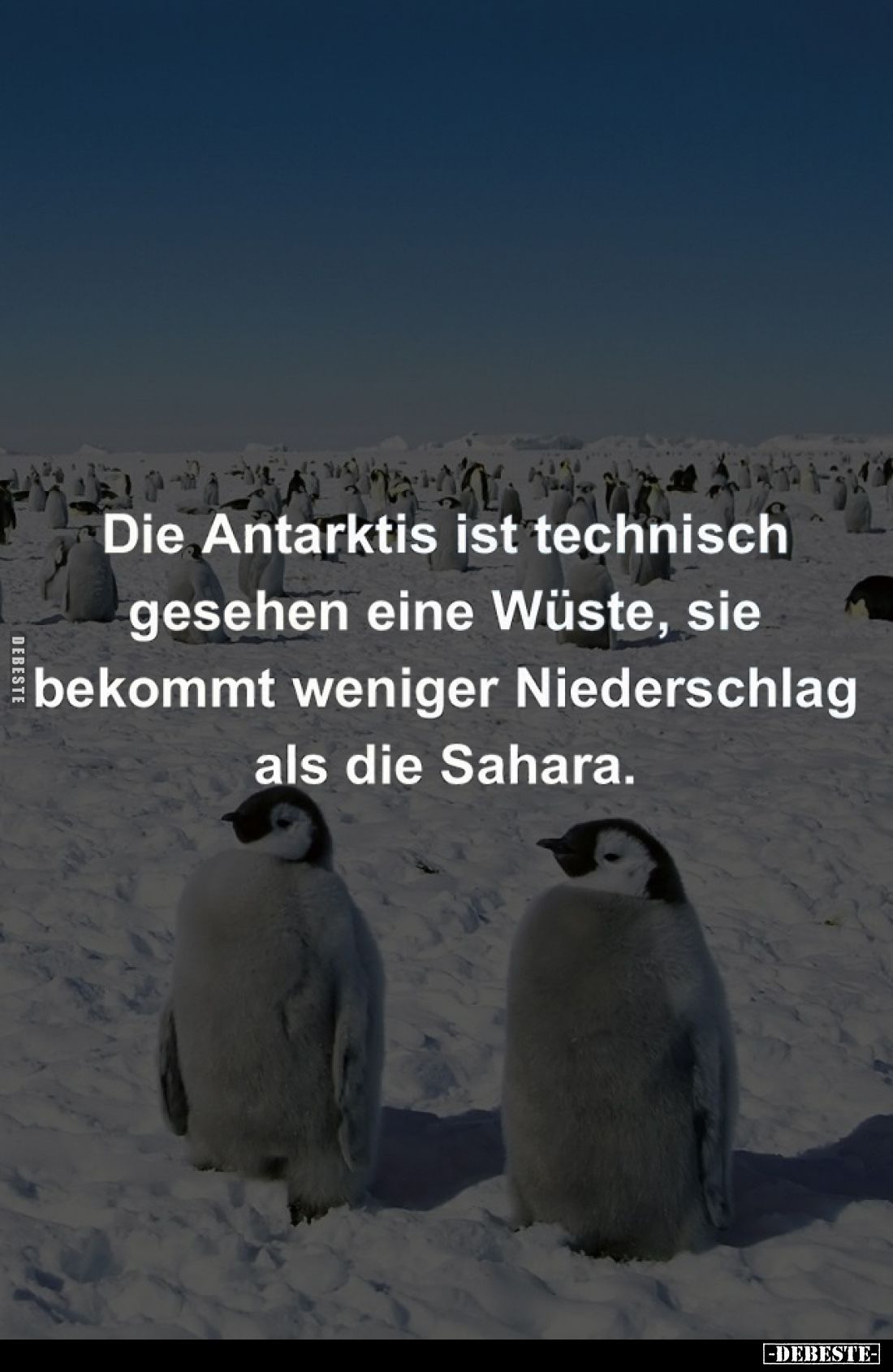 Die Antarktis ist technisch gesehen eine Wüste, sie bekommt weniger Niederschlag als die Sahara.