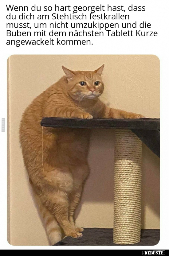 Wenn du so hart georgelt hast, dass du dich am Stehtisch..