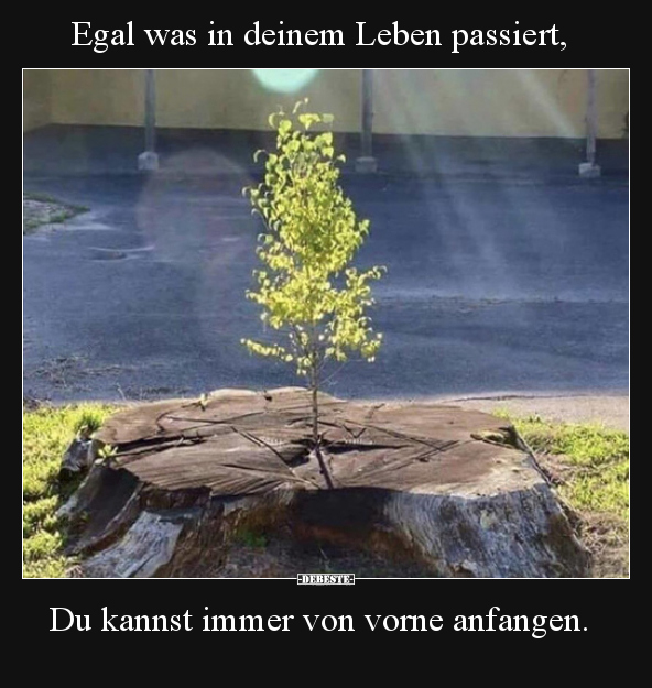 Egal was in deinem Leben passiert.. - Lustige Bilder | DEBESTE.de