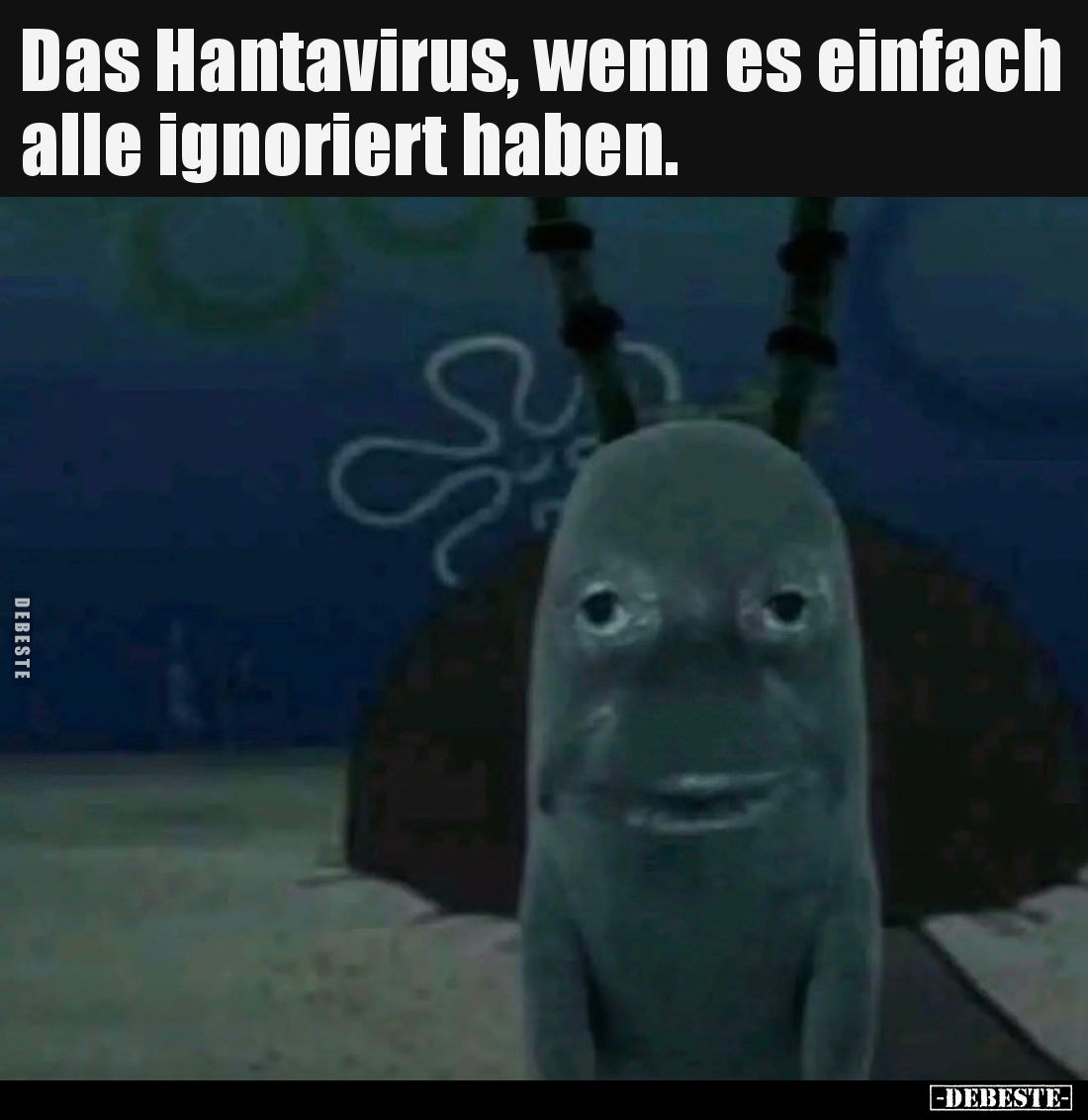 Das Hantavirus, wenn es einfach alle ignoriert haben.