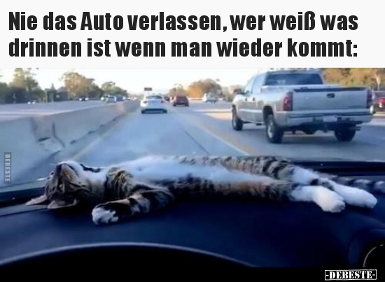 Nie das Auto verlassen, wer weiß was drinnen ist wenn man.. - Lustige Bilder | DEBESTE.de