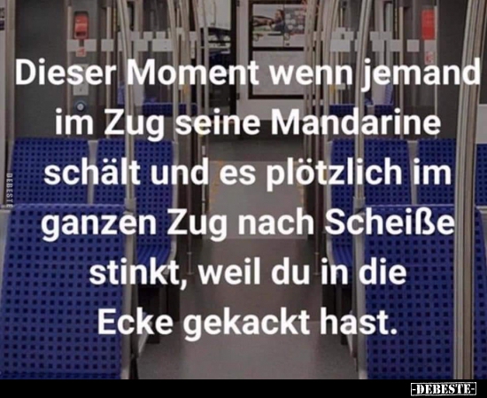 Dieser Moment, wenn jemand im Zug seine Mandarine schält.. - Lustige Bilder | DEBESTE.de