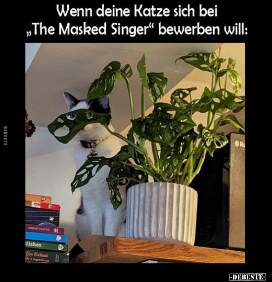 Wenn deine Katze sich bei „The Masked Singer" bewerben.. - Lustige Bilder | DEBESTE.de