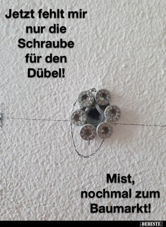 Jetzt fehlt mir nur die Schraube für den Dübel!.. - Lustige Bilder | DEBESTE.de