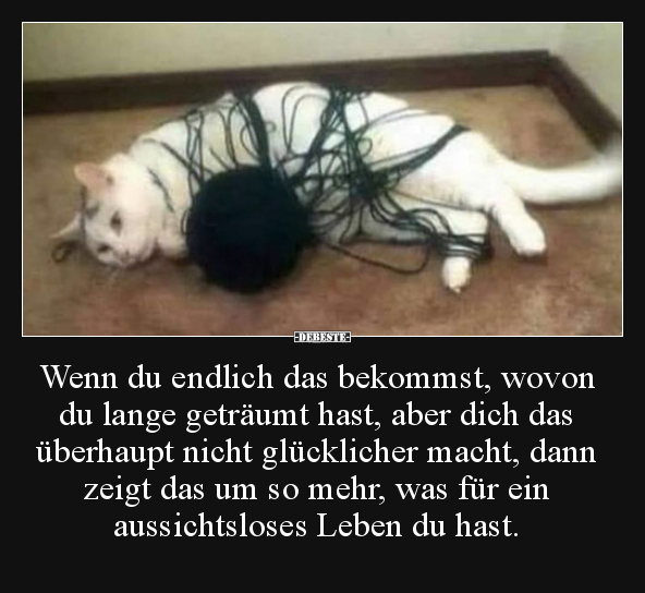 Wenn du endlich das bekommst, wovon du lange geträumt..