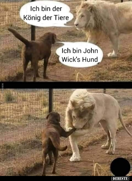 Ich bin der König der Tiere..