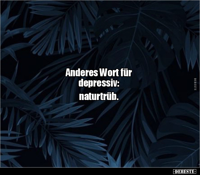 Anderes Wort für depressiv:  naturtrüb. - Lustige Bilder | DEBESTE.de