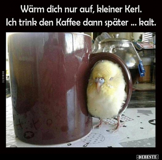 Wärm dich nur auf, kleiner Kerl. Ich trink den Kaffee dann.. - Lustige Bilder | DEBESTE.de