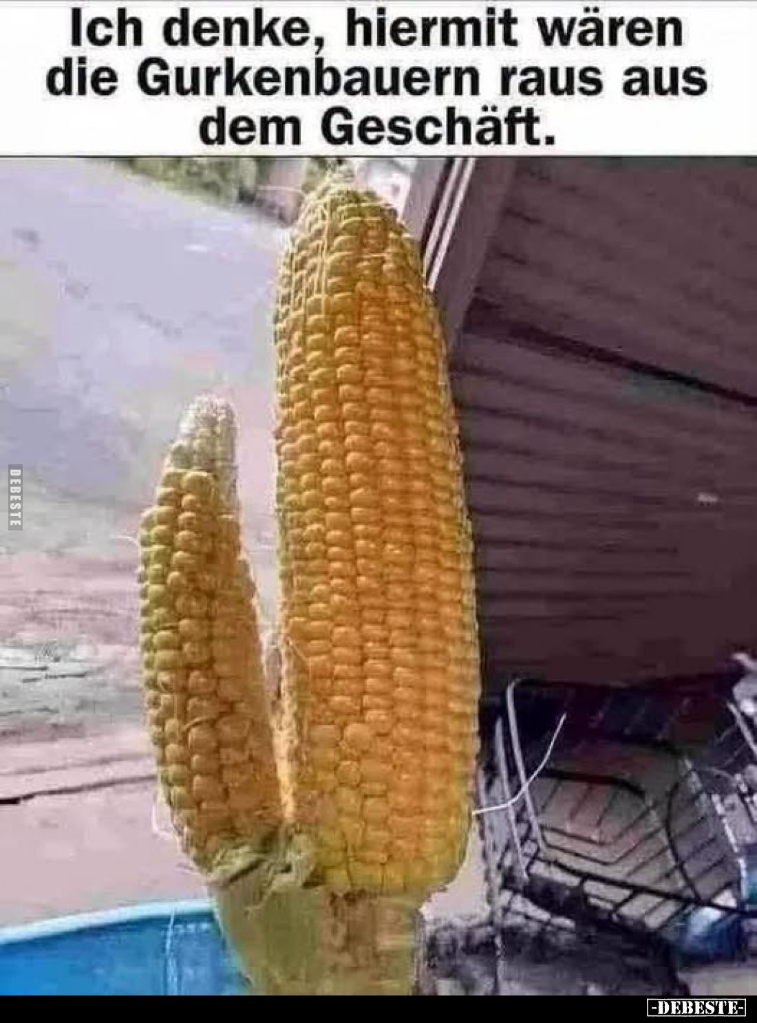 Ich denke, hiermit wären
die Gurkenbauern raus aus
dem Geschäft.