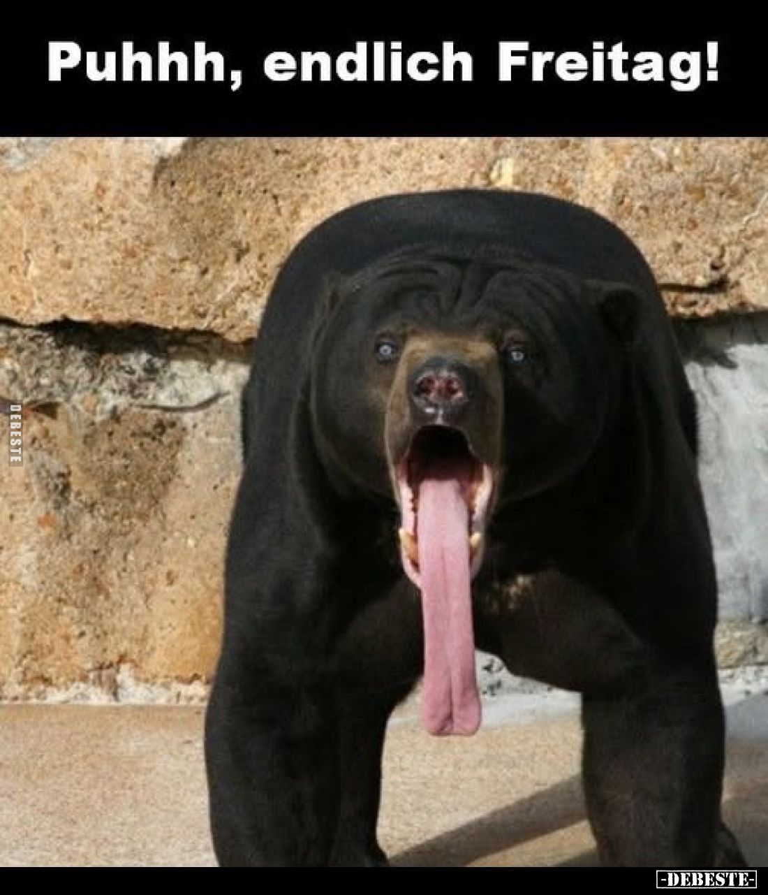 Puhhh, endlich Freitag!.. - Lustige Bilder | DEBESTE.de