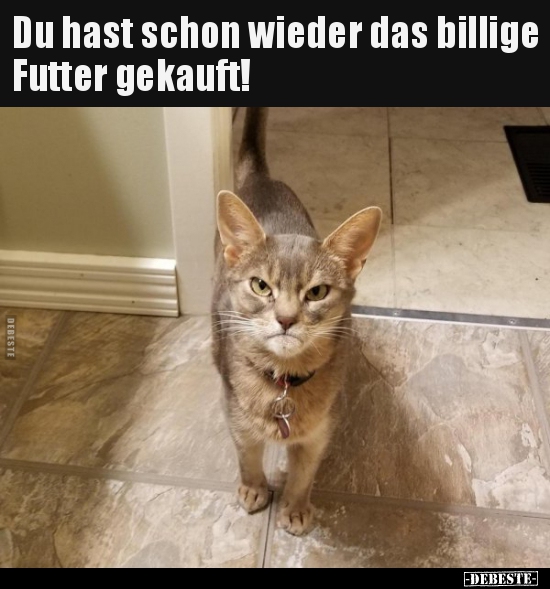 Du hast schon wieder das billige Futter gekauft!..