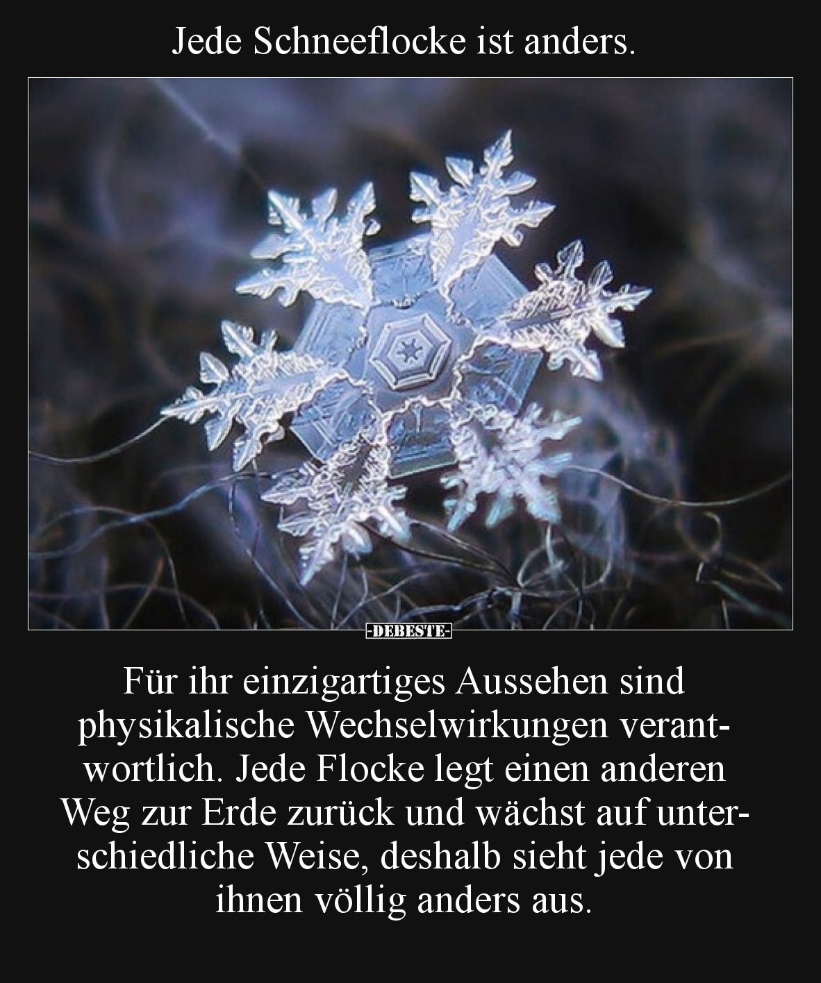 Jede Schneeflocke ist anders.
Für ihr einzigartiges Aussehen sind physikalische Wechselwirkungen verantwortlich. Jede Floc...