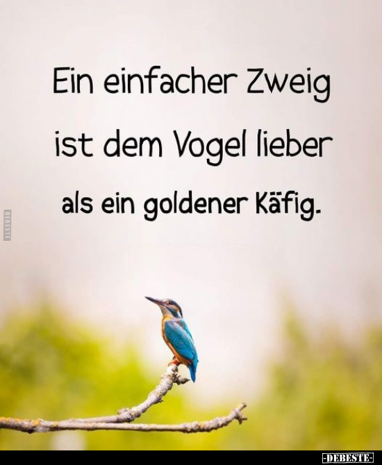 Ein einfacher Zweig ist dem Vogel lieber als ein goldener.. - Lustige Bilder | DEBESTE.de