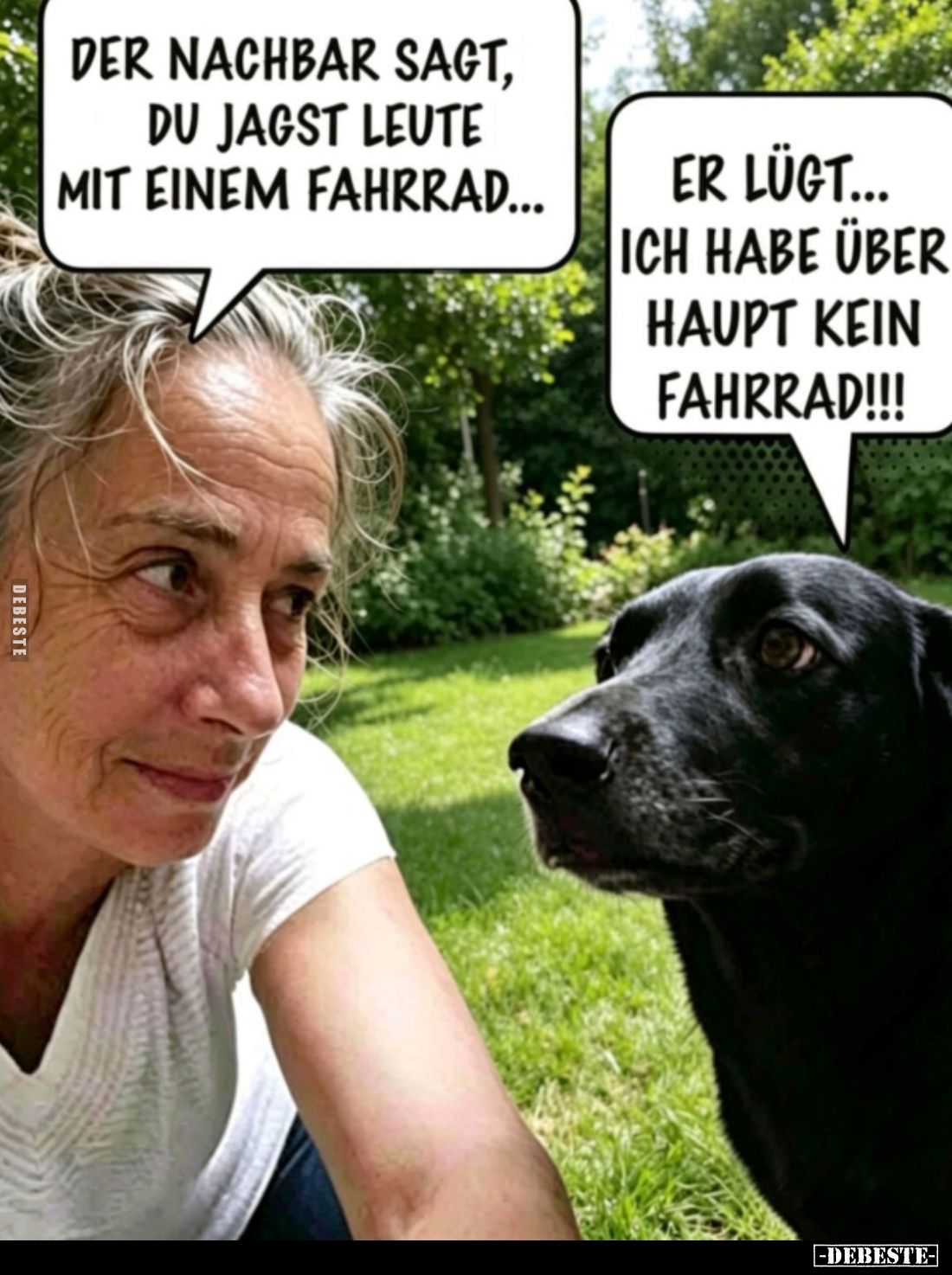 Der Nachbar sagt, du jagst Leute mit einem Fahrrad... -
Er lügt... ich habe überhaupt kein Fahrrad!!!