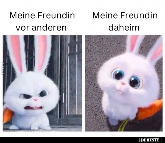 Freundin