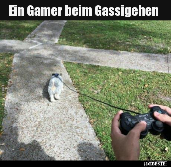 Ein Gamer beim Gassigehen.. - Lustige Bilder | DEBESTE.de