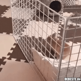 Nichts hält mich auf..