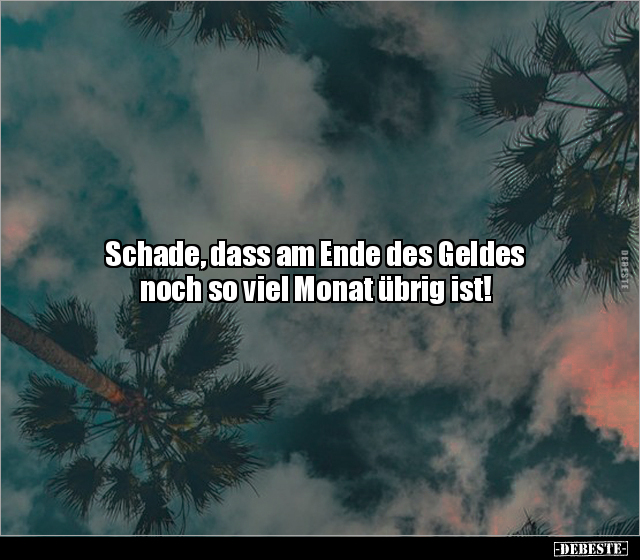 Schade, dass am Ende des Geldes.. - Lustige Bilder | DEBESTE.de