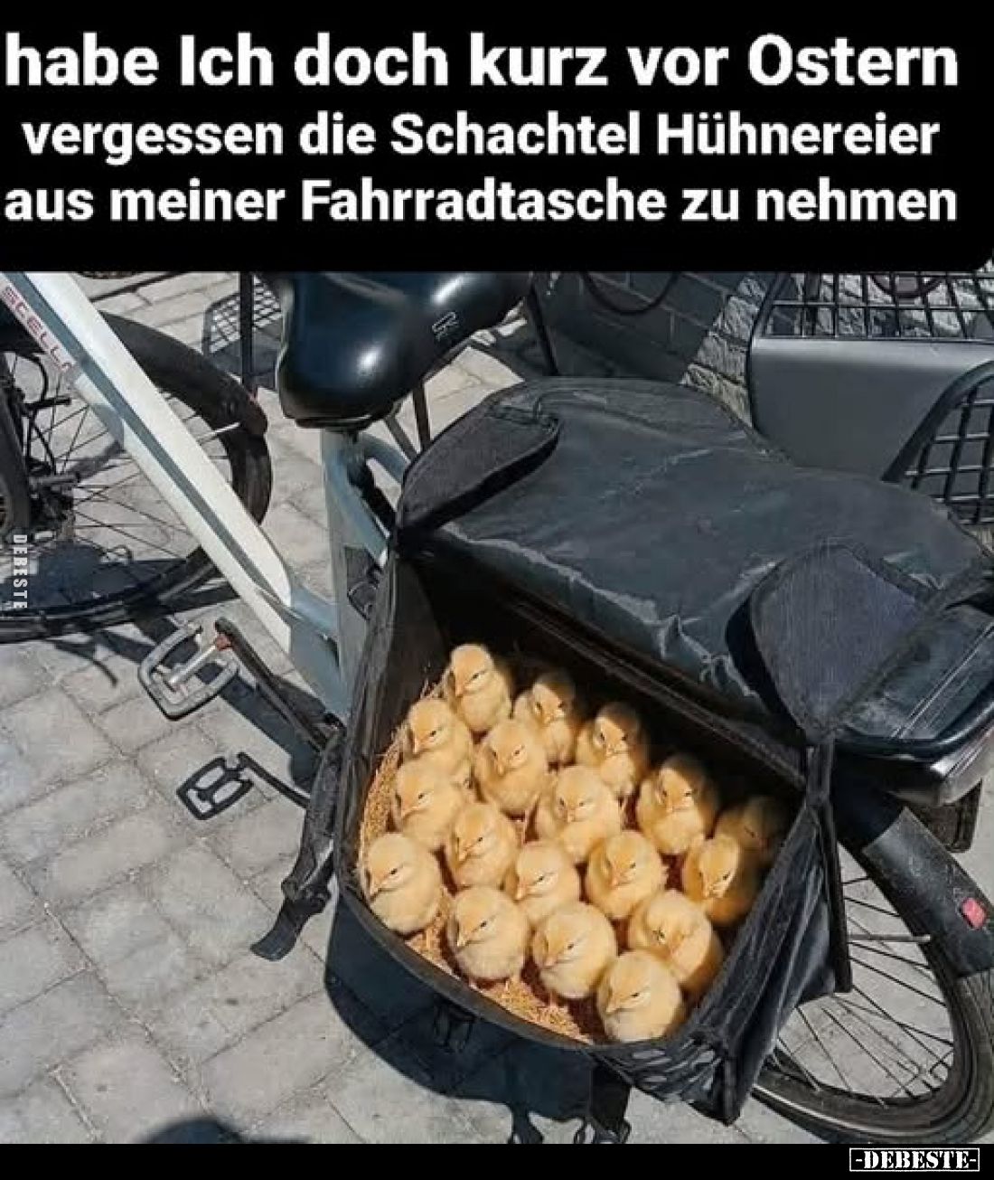 habe Ich doch kurz vor Ostern
vergessen die Schachtel Hühnereier aus meiner Fahrradtasche zu nehmen
SCELL