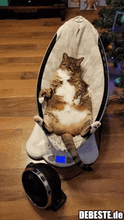 Endlich haben sie es kapiert..