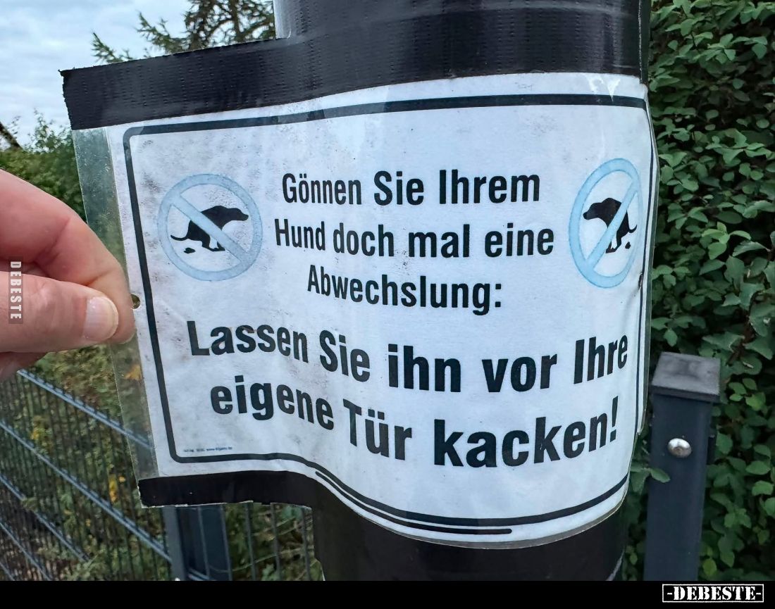 Gönnen Sie Ihrem Hund doch mal eine Abwechslung... - Lustige Bilder | DEBESTE.de