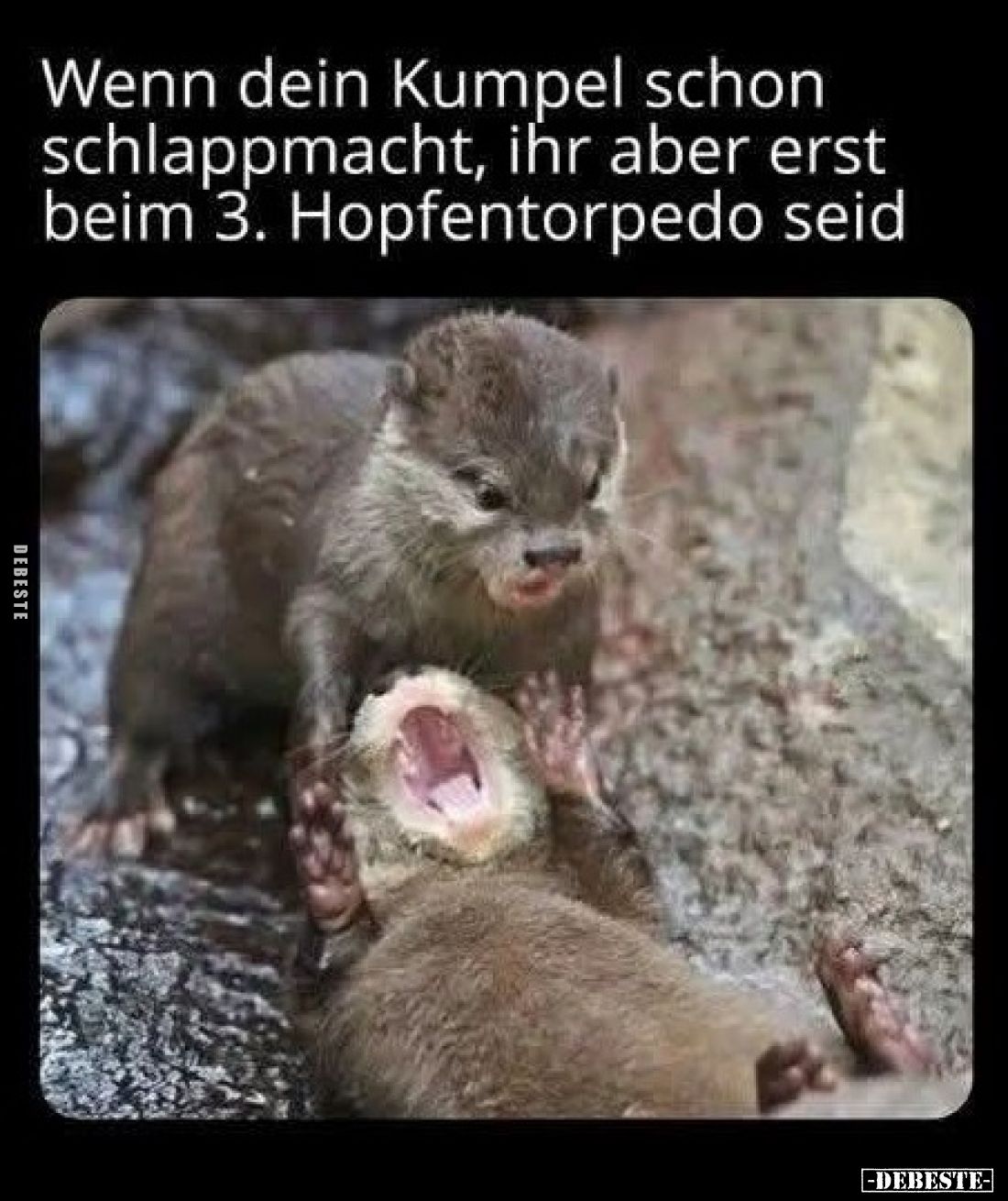 Wenn dein Kumpel schon schlappmacht, ihr aber erst beim 3. Hopfentorpedo seid