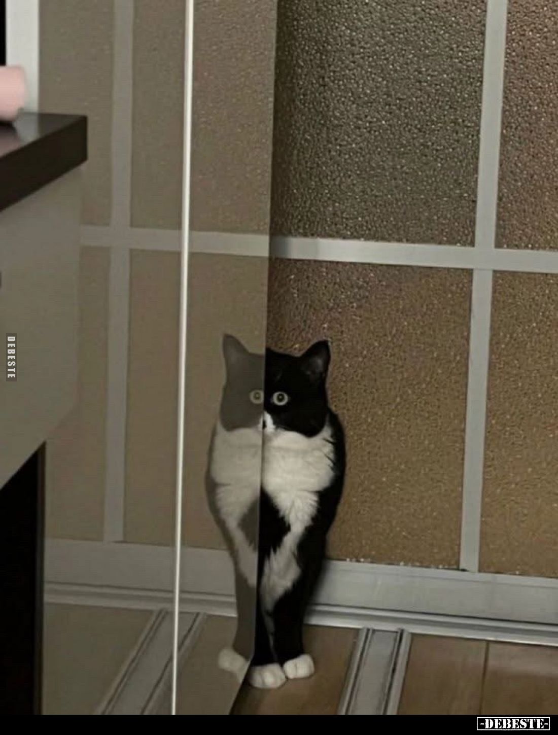  - Lustige Bilder | DEBESTE.de