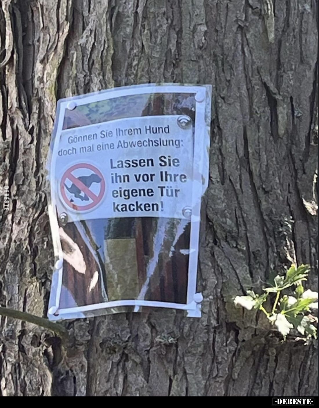 Gönnen Sie Ihrem Hund doch mal eine Abwechslung:
Lassen Sie ihn vor Ihre eigene Tür kacken!