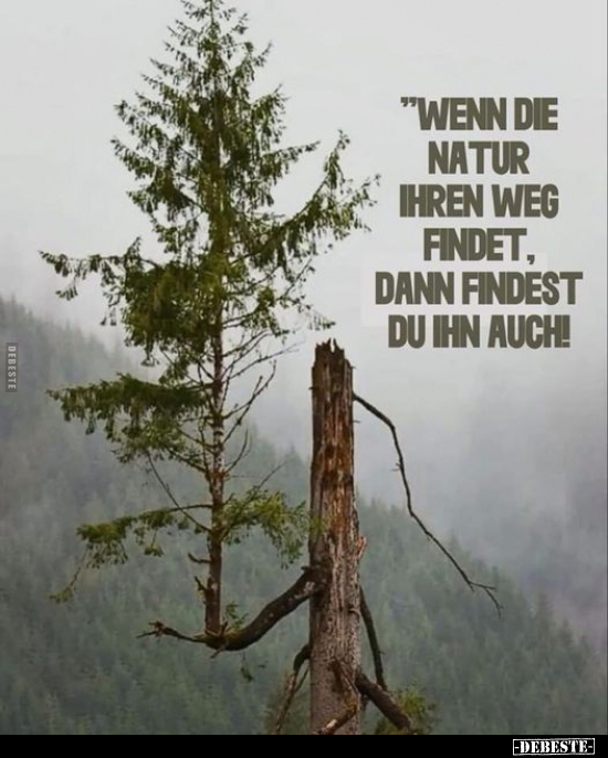 "Wenn die Natur ihren Weg findet.." - Lustige Bilder | DEBESTE.de