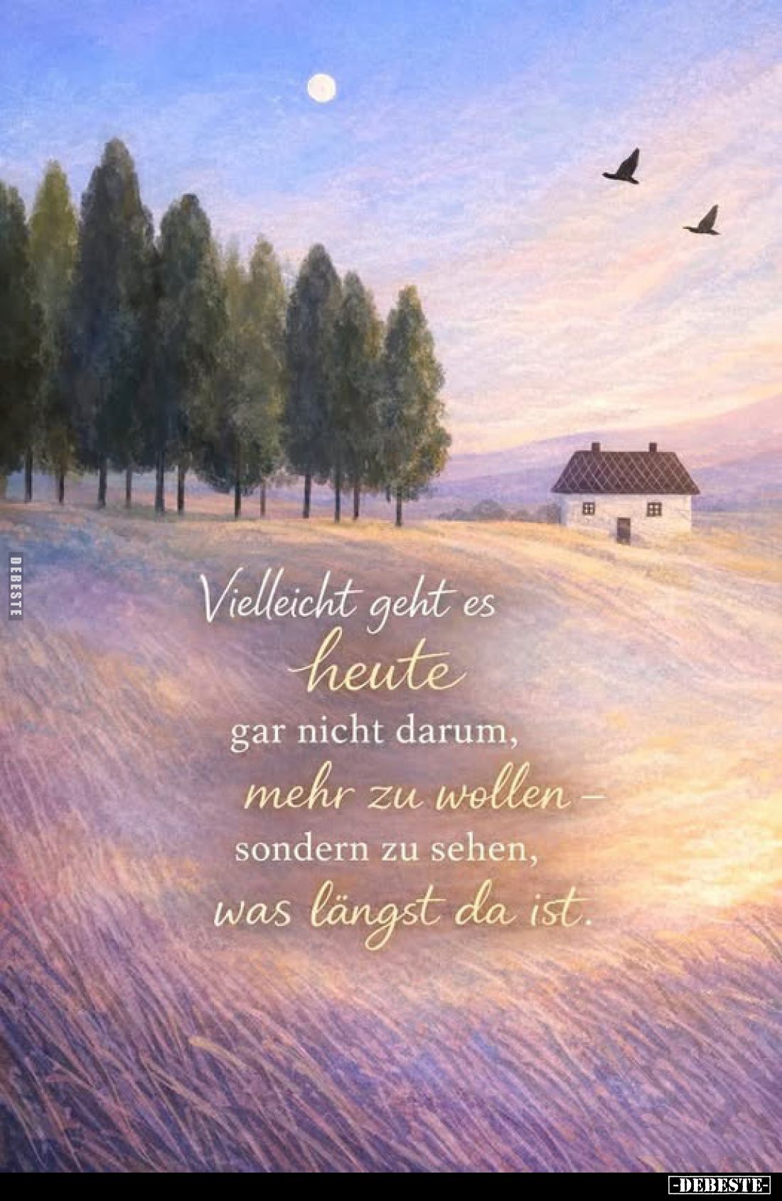 Vielleicht geht es heute gar nicht darum, mehr zu wollen.. - Lustige Bilder | DEBESTE.de