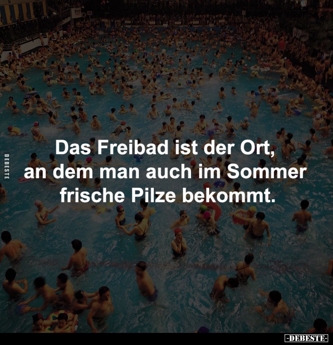 Das Freibad ist der Ort, 
an dem man auch im Sommer 
frische Pilze bekommt.