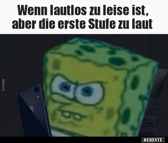 Wenn lautlos zu leise ist, aber die erste Stufe zu.. - Lustige Bilder | DEBESTE.de