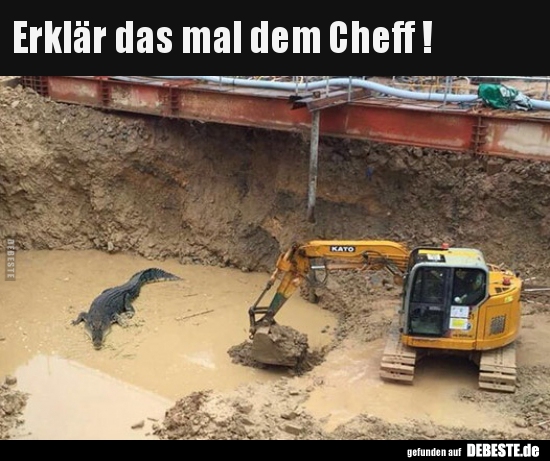 Erklär das mal dem Cheff !.. - Lustige Bilder | DEBESTE.de