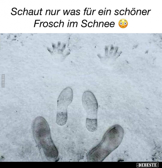 Schaut nur was für ein schöner Frosch im Schnee.. - Lustige Bilder | DEBESTE.de