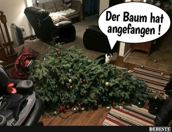 Der Baum hat angefangen! - Lustige Bilder | DEBESTE.de