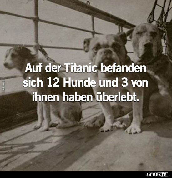 Auf der Titanic befanden sich 12 Hunde.. - Lustige Bilder | DEBESTE.de