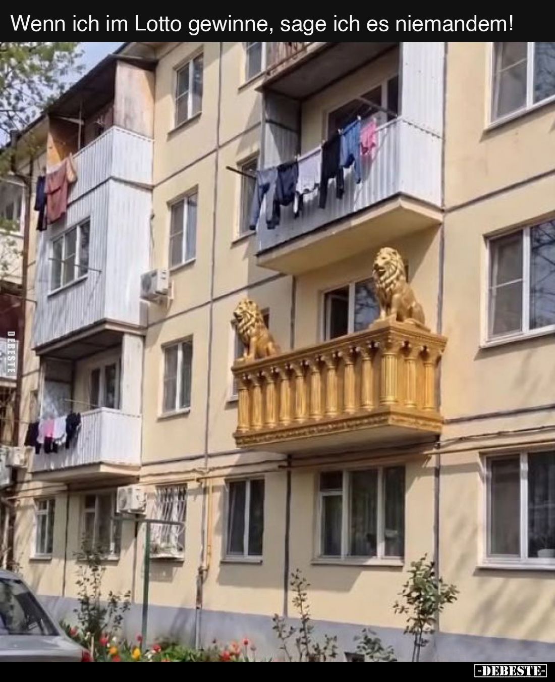 Wenn ich im Lotto gewinne, sage ich es niemandem!.. - Lustige Bilder | DEBESTE.de