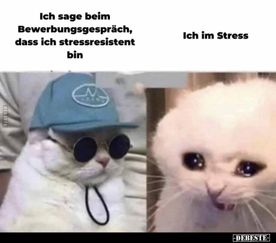 Ich sage beim Bewerbungsgespräch, dass ich stressresistent.. - Lustige Bilder | DEBESTE.de