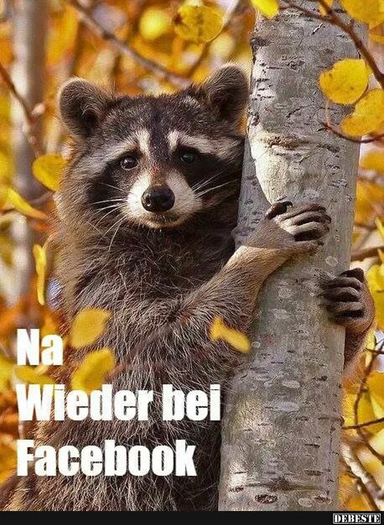 Na.. Wieder bei Facebook..