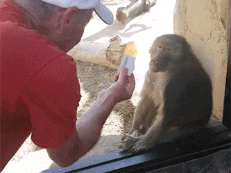 Diese überwältigung :-D