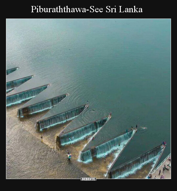 Piburaththawa-See Sri Lanka.. - Lustige Bilder | DEBESTE.de