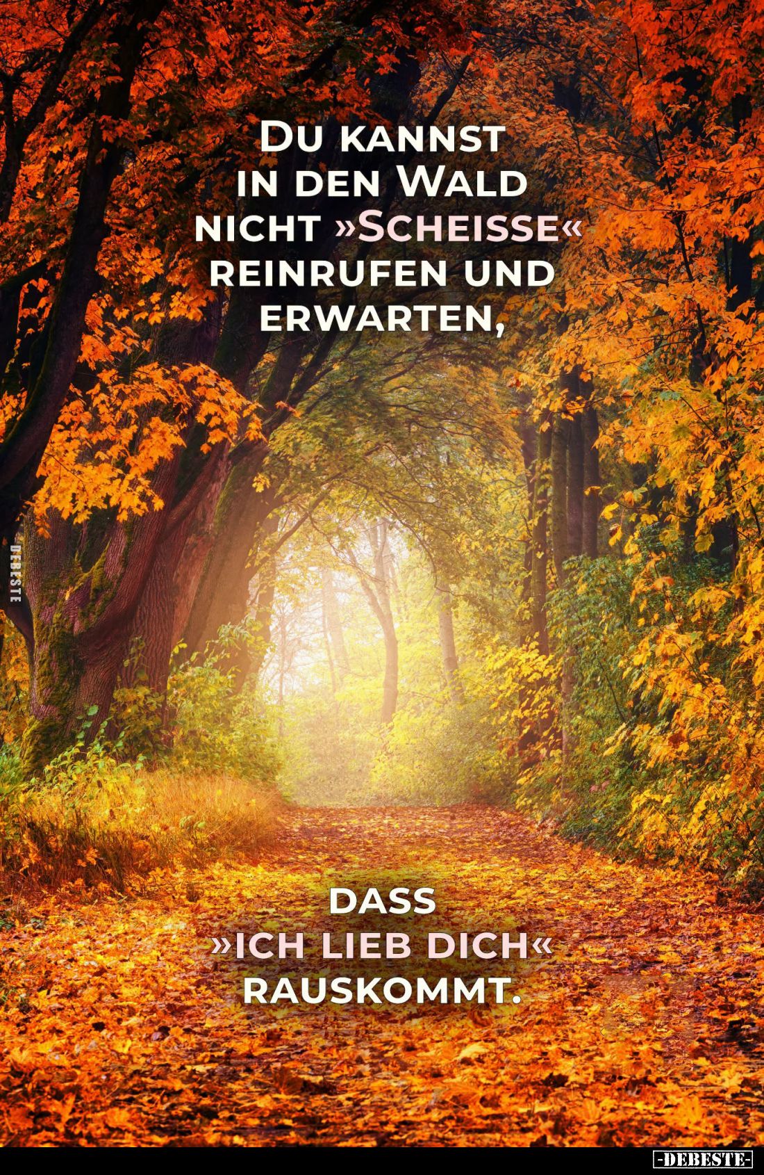 Du kannst in den Wald nicht scheiße reinrufen und erwarten,
dass ich "lieb dich" rauskommt.