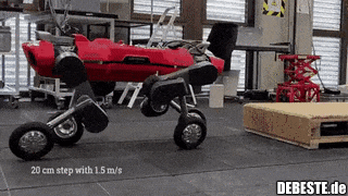  - Lustige Bilder | DEBESTE.de