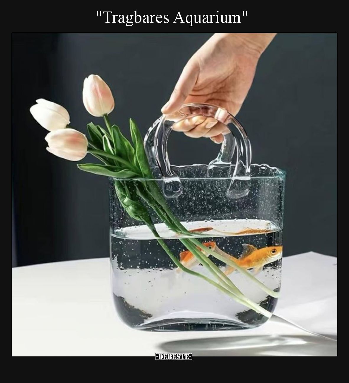 Tragbares Aquarium