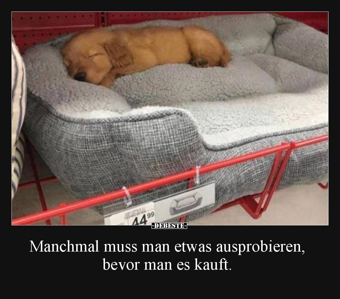 Manchmal muss man etwas ausprobieren, bevor man es kauft.