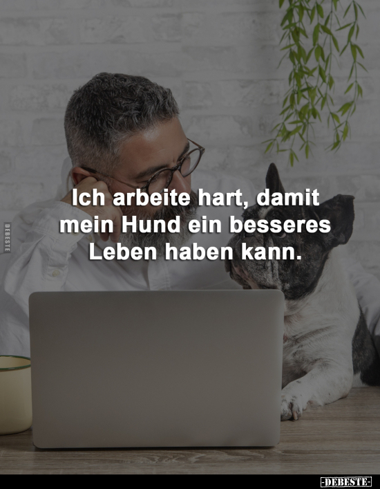 Ich arbeite hart, damit mein Hund ein besseres.. - Lustige Bilder | DEBESTE.de