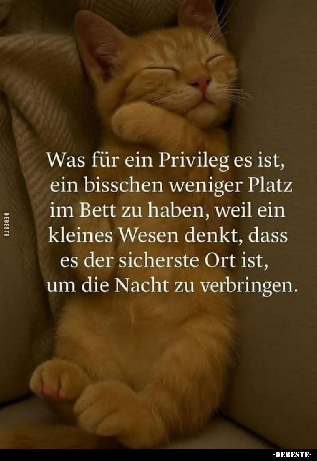 Was für ein Privileg es ist, ein bisschen weniger Platz im Bett zu haben, weil ein kleines Wesen denkt, dass es der sicherste...